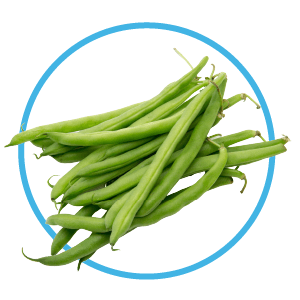 green beans are healthy dog snacks